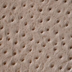 OSTRICH LEATHER
