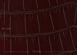 CROCODILE EMBOSSED LEATHER WRAP MEDIUM  BROWN